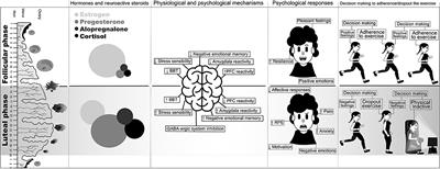 Menstrual Cycle, Psychological Responses, and Adherence to Physical Exercise: Viewpoint of a Possible Barrier